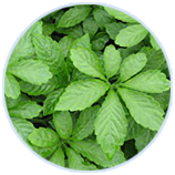 ���ݿ��Ρ��й����ٷ���վ