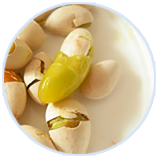 ���ݿ��Ρ��й����ٷ���վ