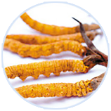 ���ݿ��Ρ��й����ٷ���վ