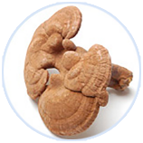 ���ݿ��Ρ��й����ٷ���վ